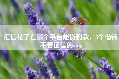 征信花了在哪个平台能贷到款，5个借钱不看征信的app