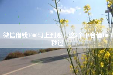 微信借钱1000马上到账，这5个平台借1000秒过