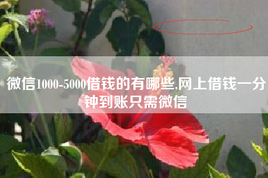 微信1000-5000借钱的有哪些,网上借钱一分钟到账只需微信