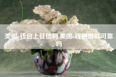 美图e钱包上征信吗,美图e钱包借款可靠吗