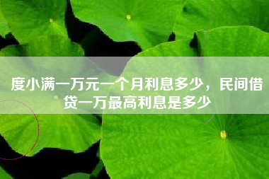 度小满一万元一个月利息多少，民间借贷一万最高利息是多少