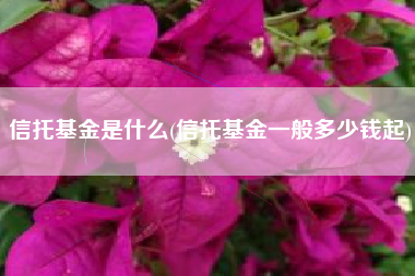 信托基金是什么(信托基金一般多少钱起)