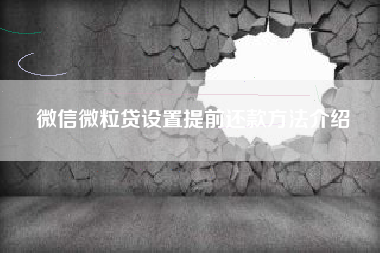 微信微粒贷设置提前还款方法介绍