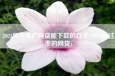 2021风控黑户网贷能下款的口子(100%通过率的网贷)