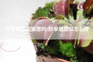 好享借贷款靠谱吗?好享借贷款怎么样
