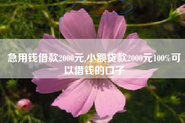 急用钱借款2000元,小额贷款2000元100%可以借钱的口子