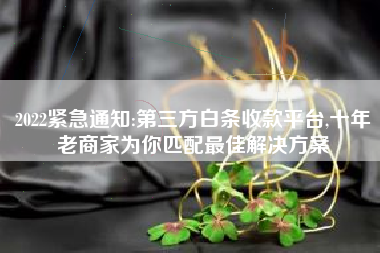 2022紧急通知:第三方白条收款平台,十年老商家为你匹配最佳解决方案