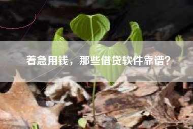 着急用钱，那些借贷软件靠谱？