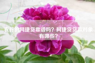 农行的网捷贷靠谱吗？网捷贷贷款对象有哪些？