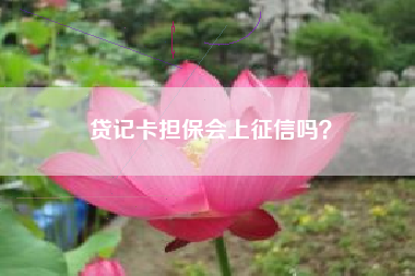 贷记卡担保会上征信吗？