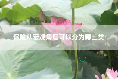 保险从宏观角度可以分为哪三类?