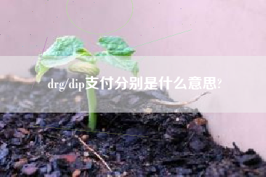 drg/dip支付分别是什么意思?