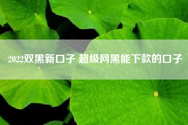 2022双黑新口子 超级网黑能下款的口子