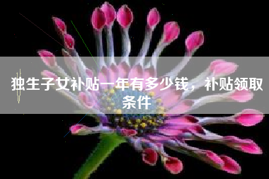 独生子女补贴一年有多少钱，补贴领取条件