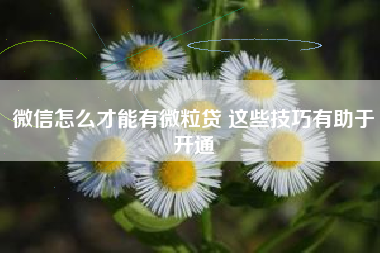 微信怎么才能有微粒贷 这些技巧有助于开通
