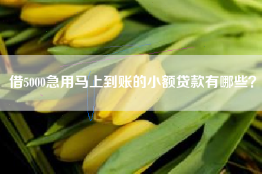 借5000急用马上到账的小额贷款有哪些？