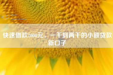 快速借款2000元，一千到两千的小额贷款新口子