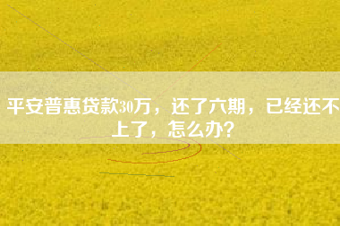 平安普惠贷款30万，还了六期，已经还不上了，怎么办？