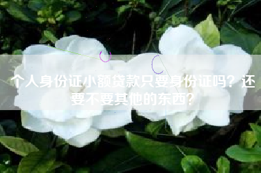 个人身份证小额贷款只要身份证吗？还要不要其他的东西？