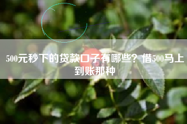 500元秒下的贷款口子有哪些？借500马上到账那种