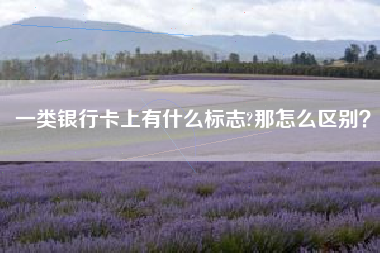 一类银行卡上有什么标志?那怎么区别？