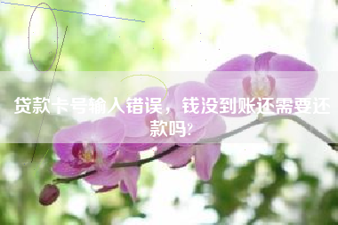 贷款卡号输入错误，钱没到账还需要还款吗?