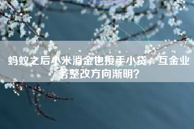 蚂蚁之后小米消金也接手小贷，互金业务整改方向渐明？