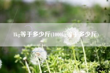 1kg等于多少斤(1000kg等于多少斤)