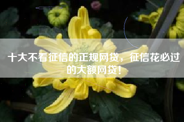 十大不看征信的正规网贷，征信花必过的大额网贷！