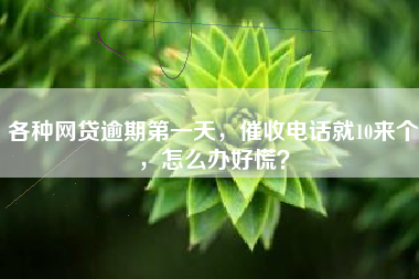 各种网贷逾期第一天，催收电话就10来个，怎么办好慌？
