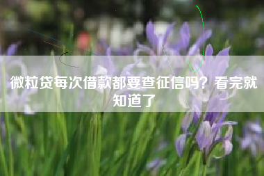 微粒贷每次借款都要查征信吗？看完就知道了