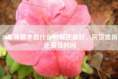 30年等额本息什么时候还最好，房贷提前还最佳时间