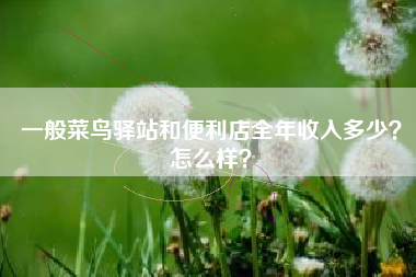 一般菜鸟驿站和便利店全年收入多少？怎么样？