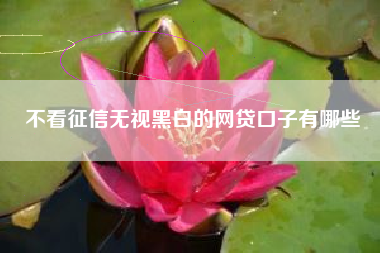 不看征信无视黑白的网贷口子有哪些