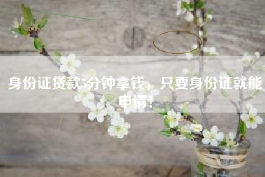 身份证贷款5分钟拿钱，只要身份证就能申请！