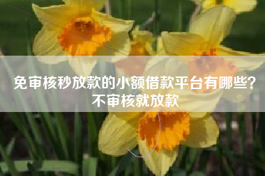 免审核秒放款的小额借款平台有哪些？不审核就放款