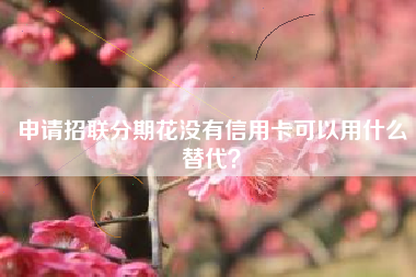 申请招联分期花没有信用卡可以用什么替代？