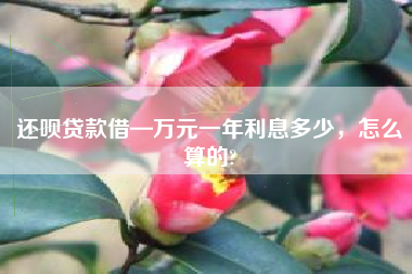 还呗贷款借—万元一年利息多少，怎么算的?