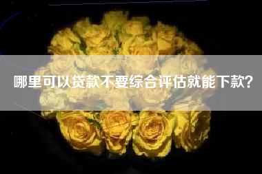 哪里可以贷款不要综合评估就能下款？