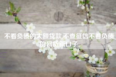 不看负债的大额贷款,不查征信不看负债的网贷新口子