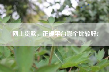 网上贷款，正规平台哪个比较好?
