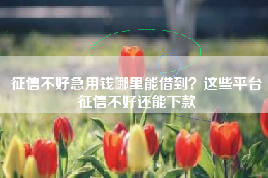 征信不好急用钱哪里能借到？这些平台征信不好还能下款