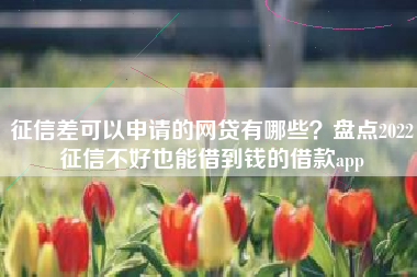 征信差可以申请的网贷有哪些？盘点2022征信不好也能借到钱的借款app
