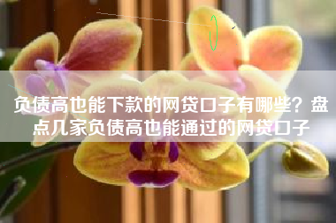 负债高也能下款的网贷口子有哪些？盘点几家负债高也能通过的网贷口子