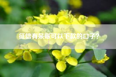 征信有呆账可以下款的口子？