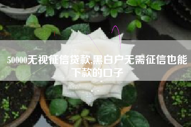 50000无视征信贷款,黑白户无需征信也能下款的口子