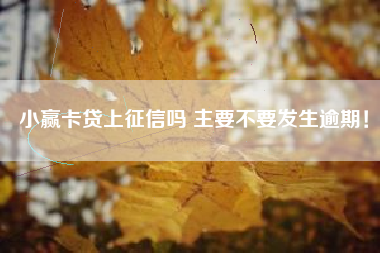 小赢卡贷上征信吗 主要不要发生逾期！
