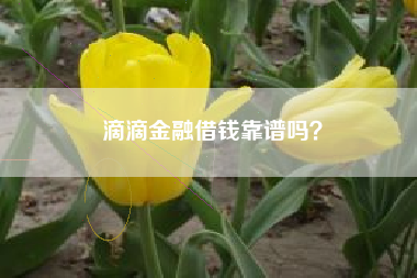 滴滴金融借钱靠谱吗？