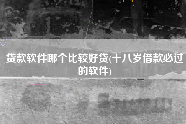 贷款软件哪个比较好贷(十八岁借款必过的软件)