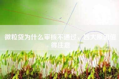 微粒贷为什么审核不通过，四大原因值得注意